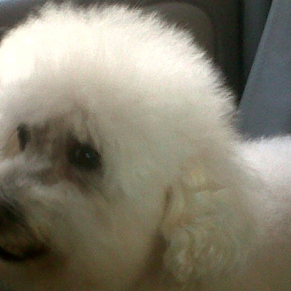 Meet your Posher, Sandra - Picture 1 of 1